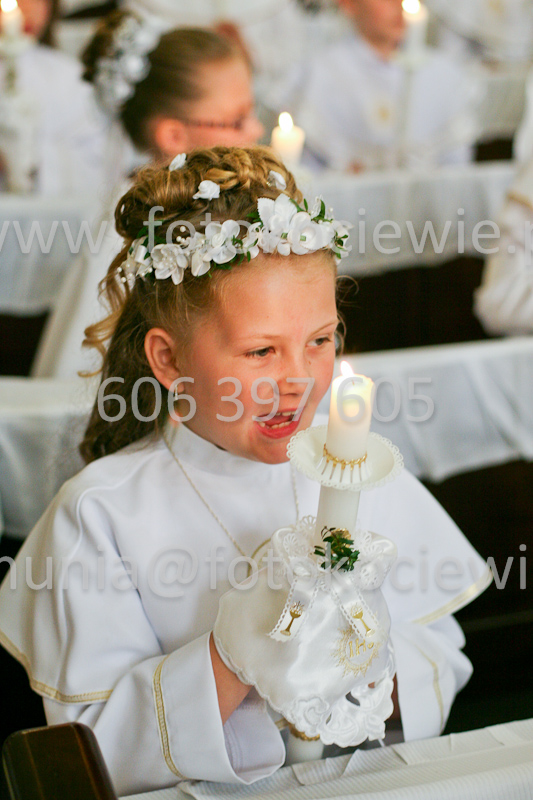 <b>NUMER FOTOGRAFII:<br> 1058_SFK_9701</b>