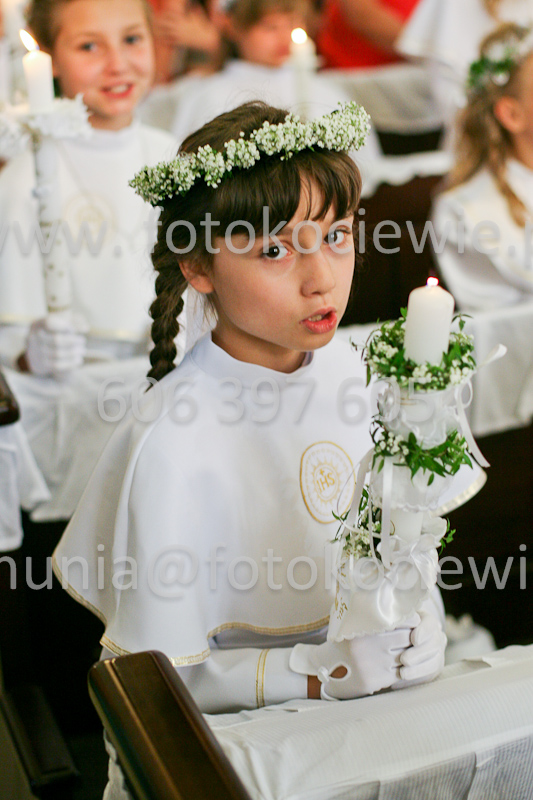 <b>NUMER FOTOGRAFII:<br> 1069_SFK_9709</b>