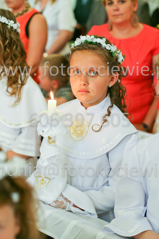 <b>NUMER FOTOGRAFII:<br> 1091_SFK_9729</b>