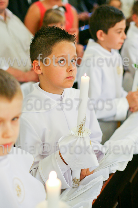 <b>NUMER FOTOGRAFII:<br> 1097_SFK_9732</b>