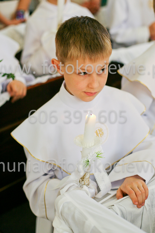 <b>NUMER FOTOGRAFII:<br> 1098_SFK_9733</b>