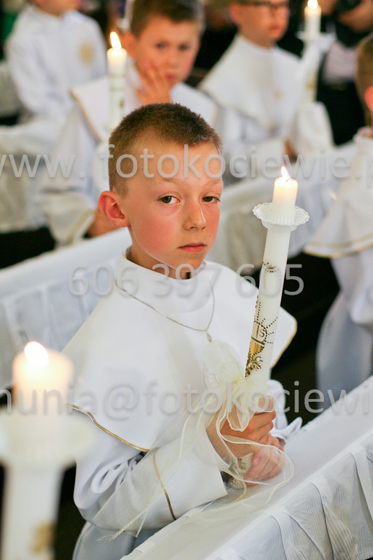 <b>NUMER FOTOGRAFII:<br> 1103_SFK_9737</b>