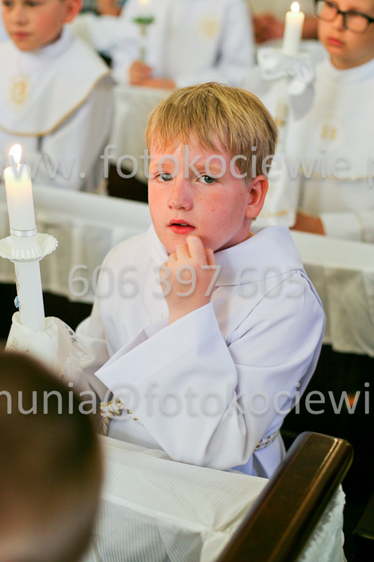 <b>NUMER FOTOGRAFII:<br> 1138_SFK_9763</b>