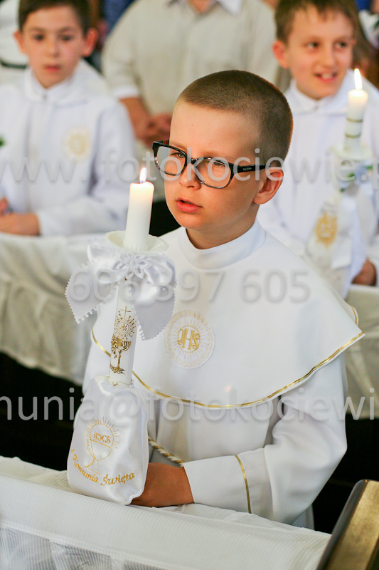 <b>NUMER FOTOGRAFII:<br> 1142_SFK_9767</b>
