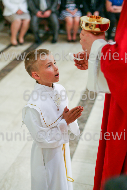 <b>NUMER FOTOGRAFII:<br> 1161_SFK_9778</b>
