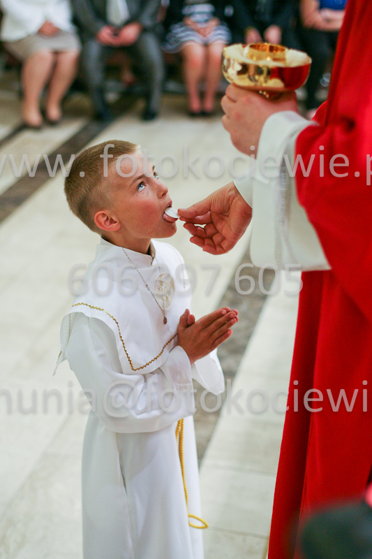 <b>NUMER FOTOGRAFII:<br> 1162_SFK_9779</b>