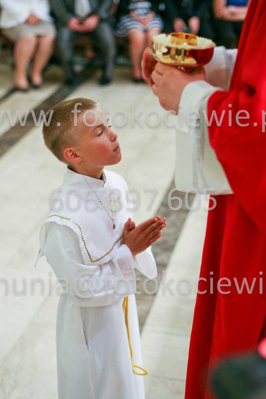 <b>NUMER FOTOGRAFII:<br> 1163_SFK_9780</b>