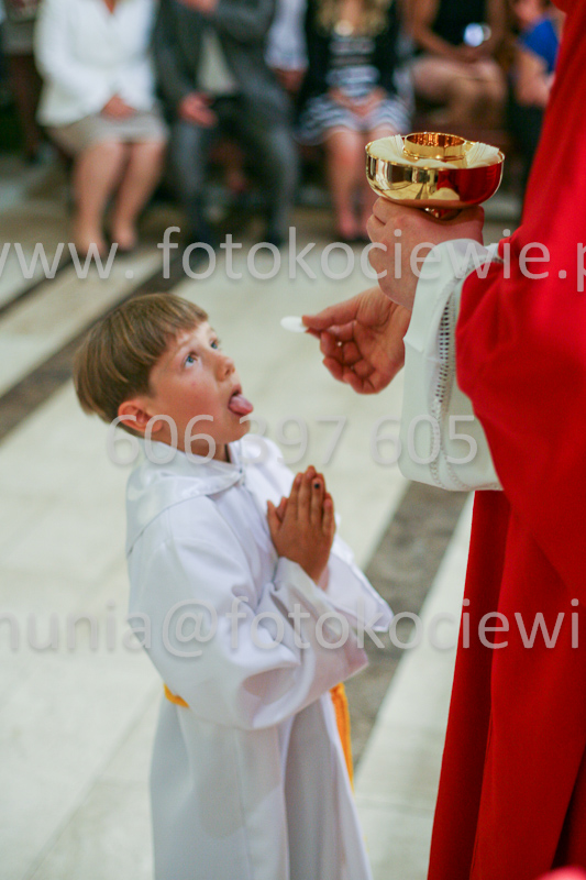 <b>NUMER FOTOGRAFII:<br> 1168_SFK_9783</b>