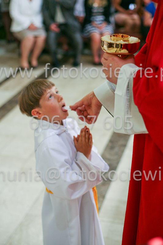 <b>NUMER FOTOGRAFII:<br> 1169_SFK_9784</b>