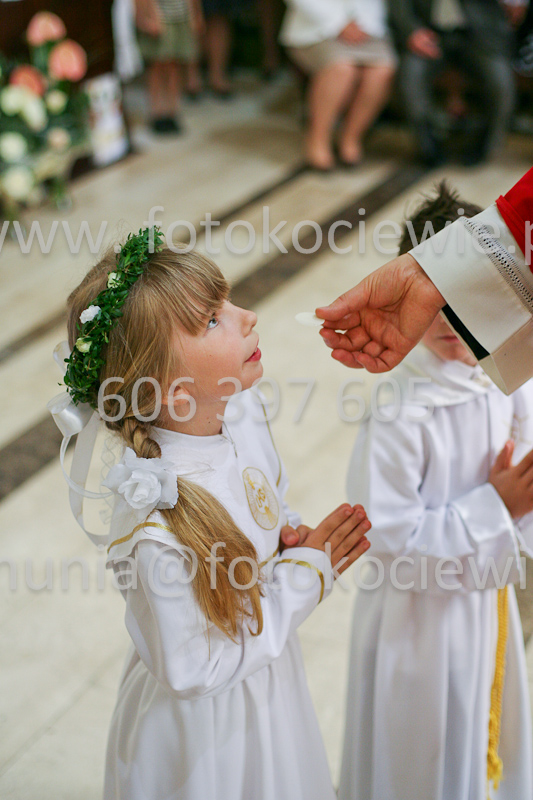 <b>NUMER FOTOGRAFII:<br> 1170_SFK_9785</b>