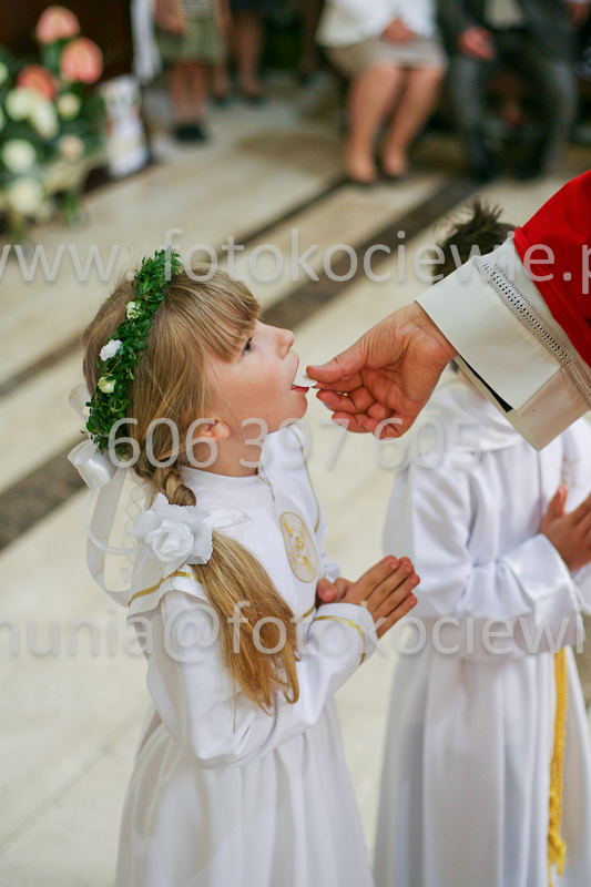 <b>NUMER FOTOGRAFII:<br> 1171_SFK_9786</b>