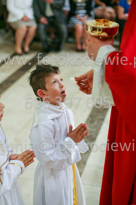 <b>NUMER FOTOGRAFII:<br> 1173_SFK_9787</b>