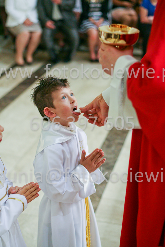 <b>NUMER FOTOGRAFII:<br> 1174_SFK_9788</b>