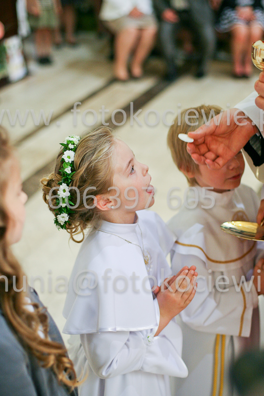 <b>NUMER FOTOGRAFII:<br> 1175_SFK_9789</b>