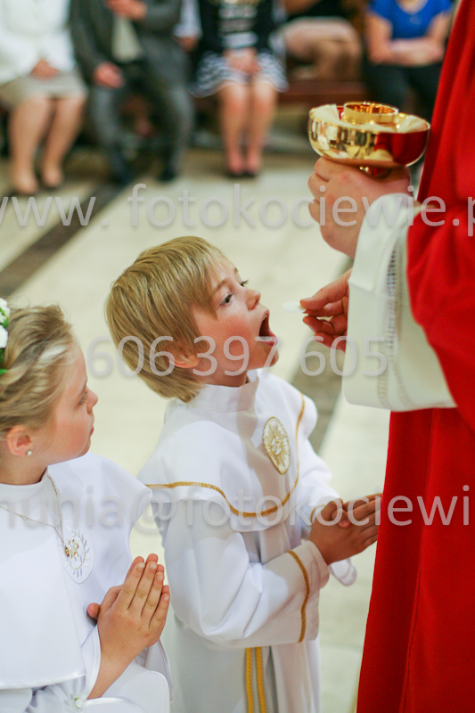 <b>NUMER FOTOGRAFII:<br> 1177_SFK_9791</b>