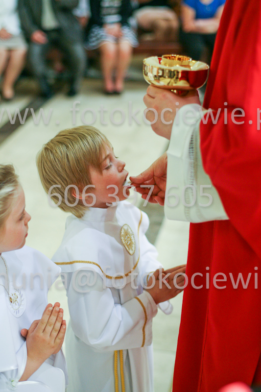 <b>NUMER FOTOGRAFII:<br> 1178_SFK_9792</b>