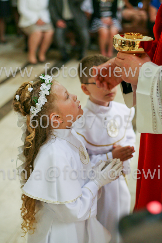 <b>NUMER FOTOGRAFII:<br> 1180_SFK_9794</b>