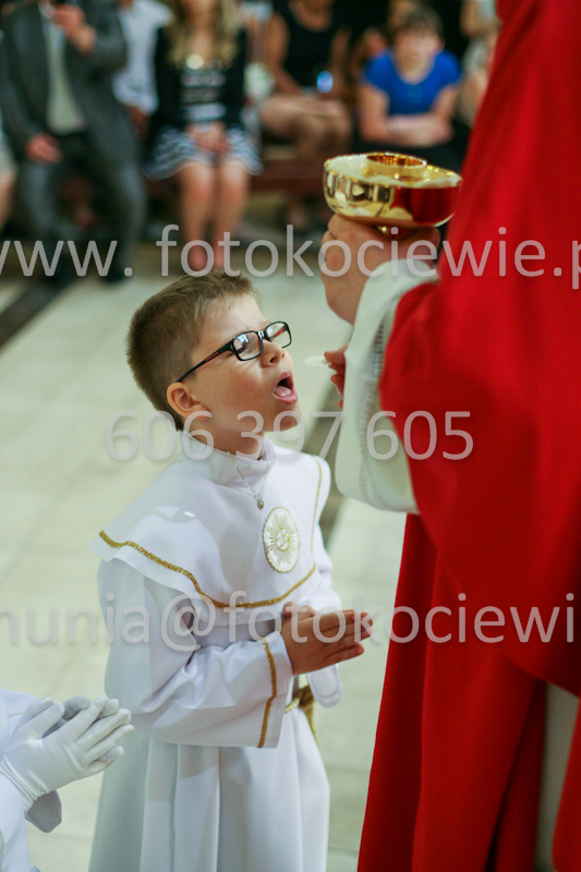 <b>NUMER FOTOGRAFII:<br> 1182_SFK_9795</b>