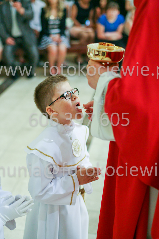 <b>NUMER FOTOGRAFII:<br> 1183_SFK_9796</b>