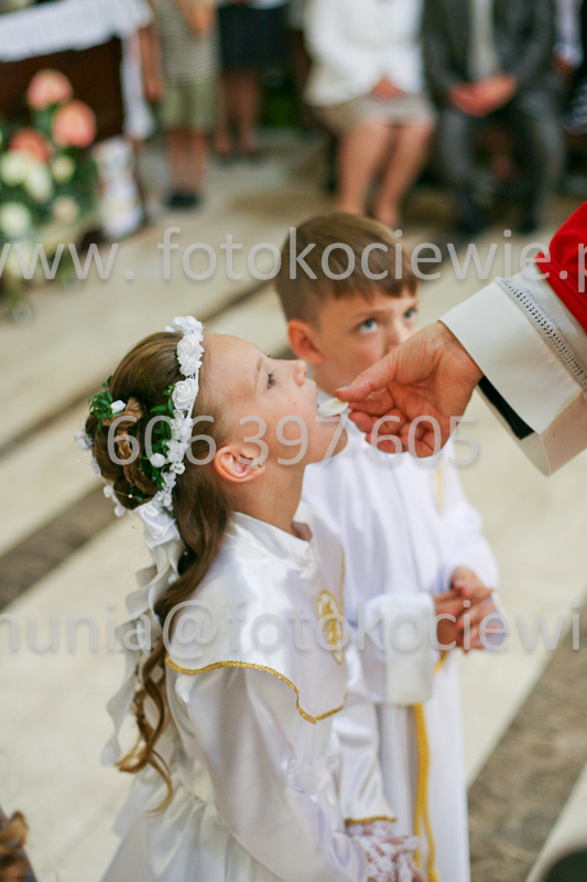 <b>NUMER FOTOGRAFII:<br> 1184_SFK_9797</b>