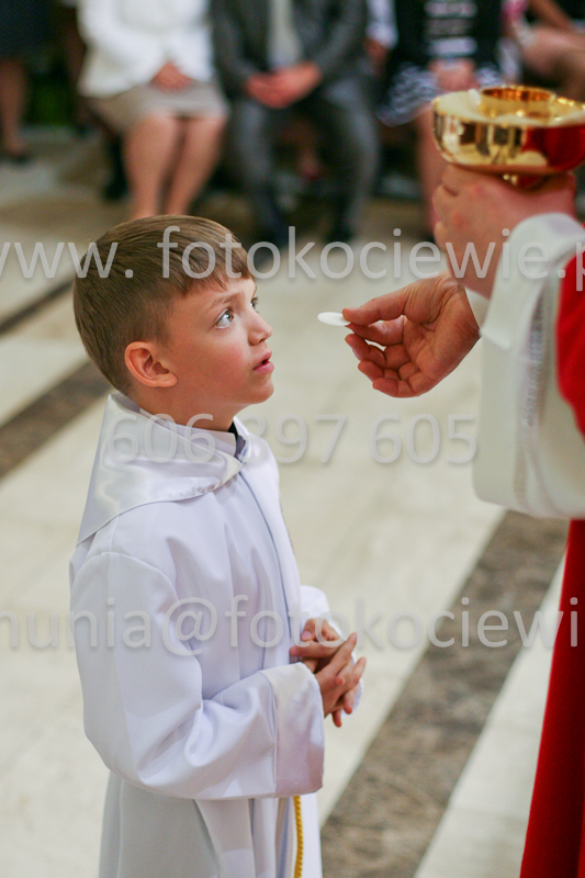 <b>NUMER FOTOGRAFII:<br> 1186_SFK_9799</b>