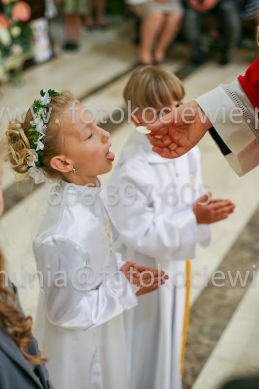 <b>NUMER FOTOGRAFII:<br> 1188_SFK_9801</b>