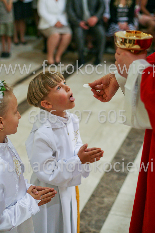 <b>NUMER FOTOGRAFII:<br> 1190_SFK_9803</b>
