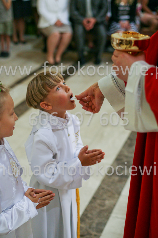 <b>NUMER FOTOGRAFII:<br> 1191_SFK_9804</b>