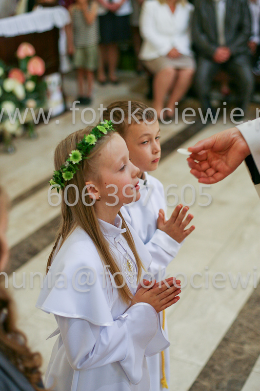 <b>NUMER FOTOGRAFII:<br> 1192_SFK_9805</b>