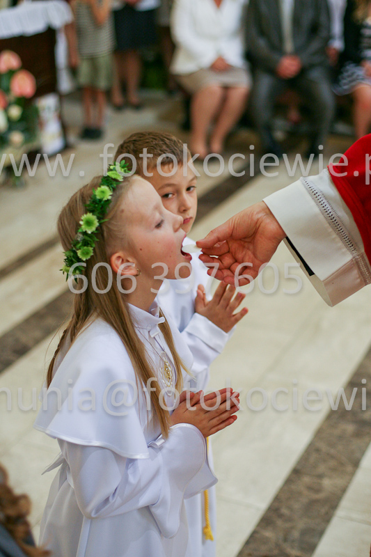 <b>NUMER FOTOGRAFII:<br> 1193_SFK_9806</b>