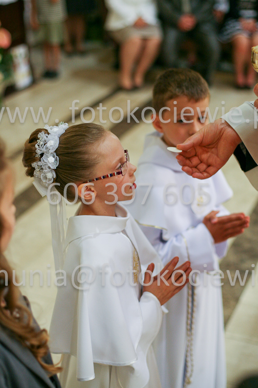 <b>NUMER FOTOGRAFII:<br> 1196_SFK_9809</b>