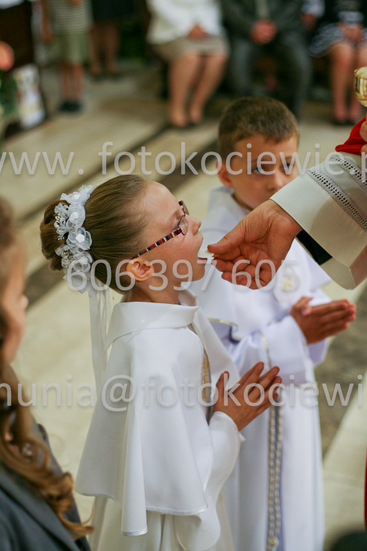 <b>NUMER FOTOGRAFII:<br> 1197_SFK_9810</b>