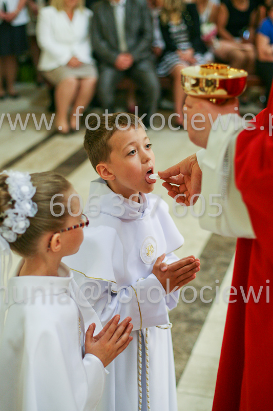 <b>NUMER FOTOGRAFII:<br> 1199_SFK_9812</b>