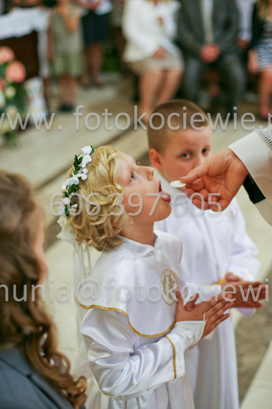 <b>NUMER FOTOGRAFII:<br> 1200_SFK_9813</b>