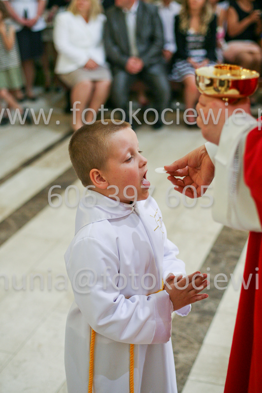 <b>NUMER FOTOGRAFII:<br> 1202_SFK_9815</b>