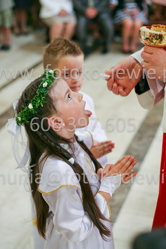 <b>NUMER FOTOGRAFII:<br> 1204_SFK_9817</b>