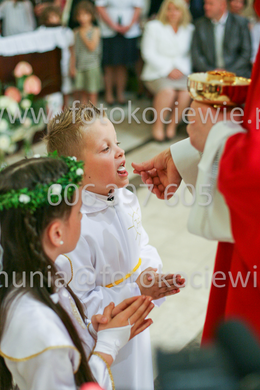 <b>NUMER FOTOGRAFII:<br> 1206_SFK_9820</b>