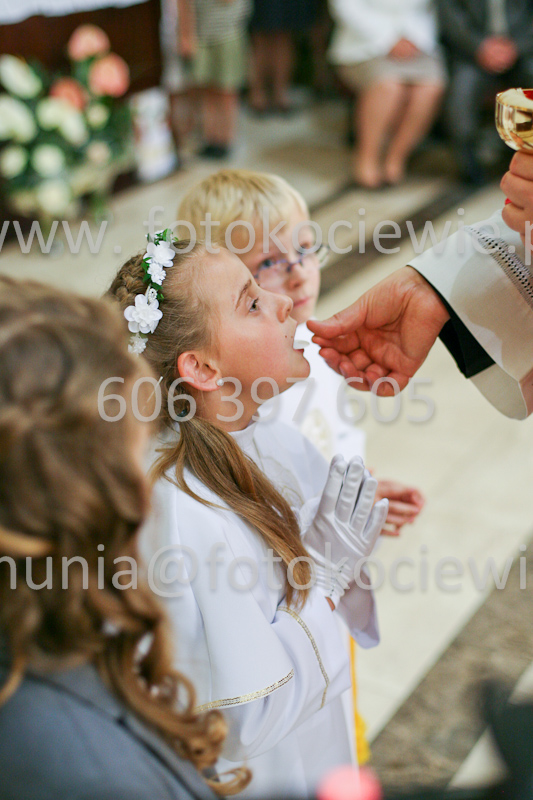 <b>NUMER FOTOGRAFII:<br> 1208_SFK_9822</b>