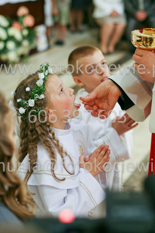 <b>NUMER FOTOGRAFII:<br> 1212_SFK_9826</b>
