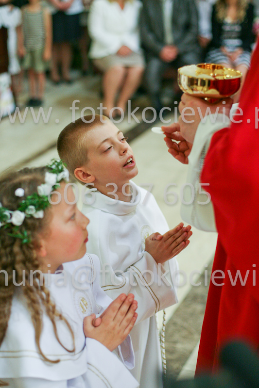 <b>NUMER FOTOGRAFII:<br> 1213_SFK_9827</b>