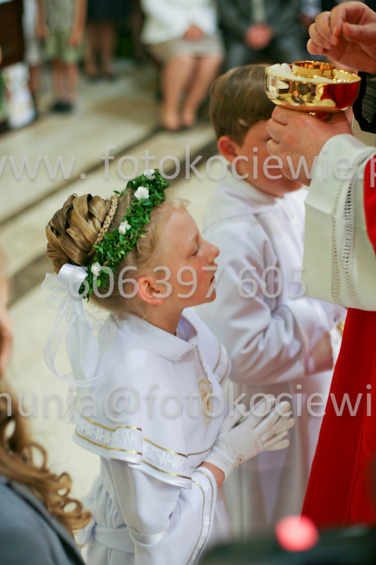 <b>NUMER FOTOGRAFII:<br> 1215_SFK_9829</b>