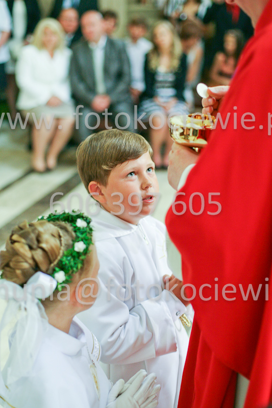 <b>NUMER FOTOGRAFII:<br> 1217_SFK_9831</b>