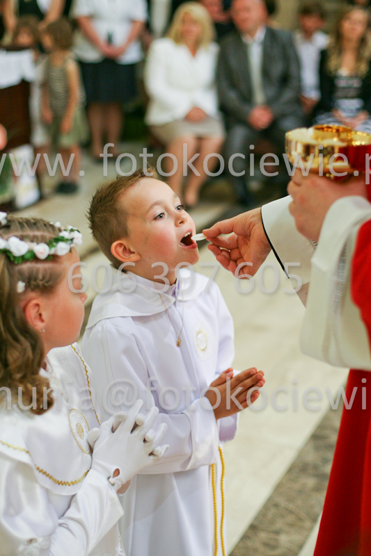 <b>NUMER FOTOGRAFII:<br> 1223_SFK_9837</b>