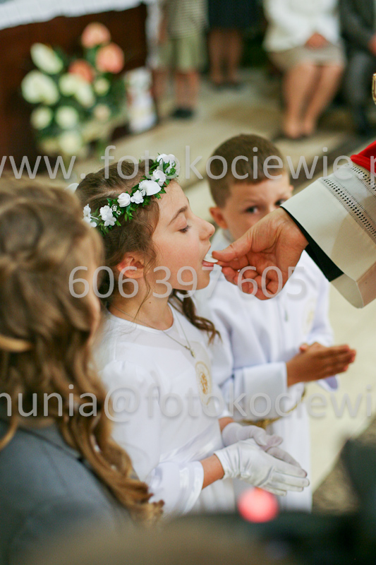 <b>NUMER FOTOGRAFII:<br> 1225_SFK_9839</b>