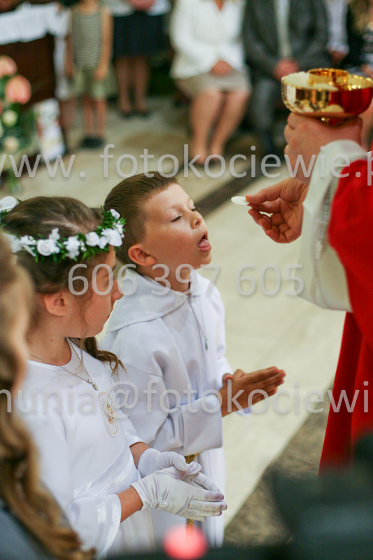 <b>NUMER FOTOGRAFII:<br> 1226_SFK_9840</b>