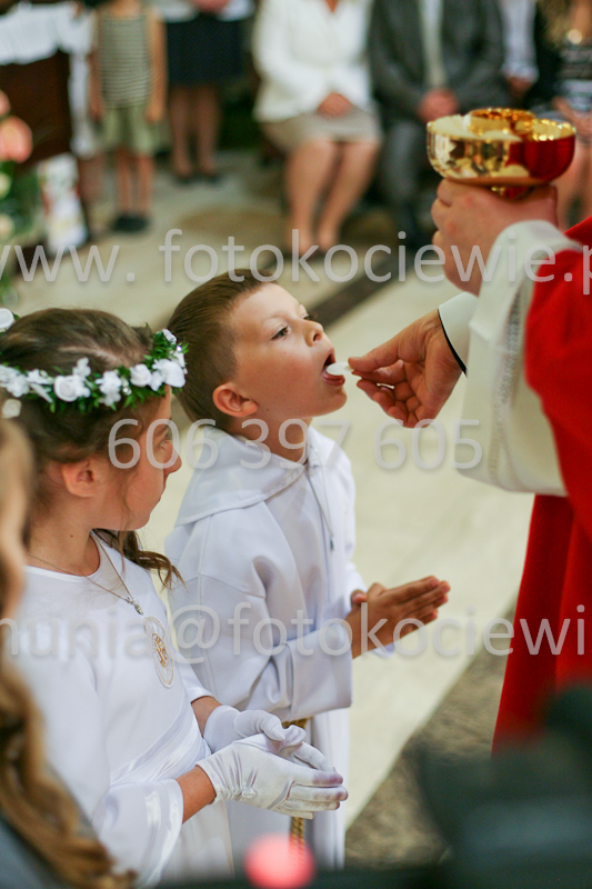 <b>NUMER FOTOGRAFII:<br> 1227_SFK_9841</b>