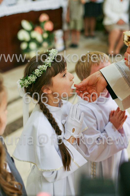 <b>NUMER FOTOGRAFII:<br> 1229_SFK_9843</b>