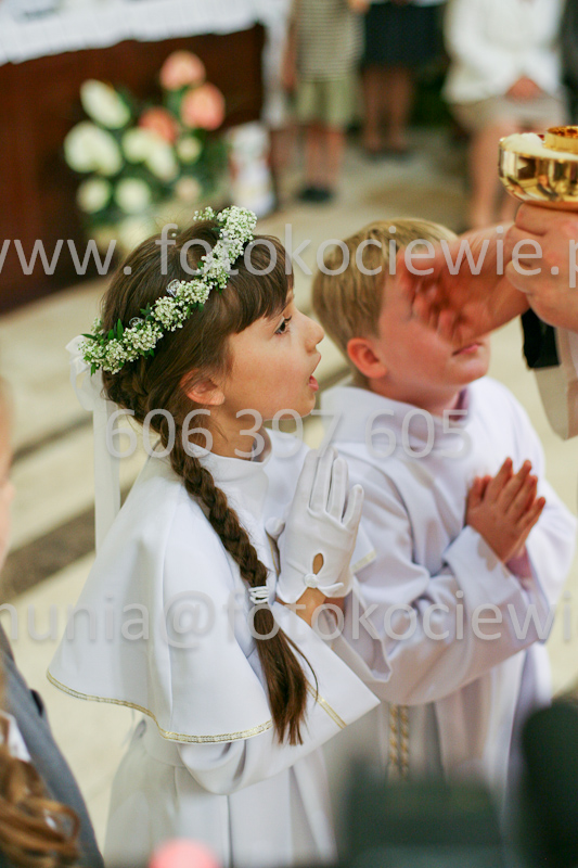 <b>NUMER FOTOGRAFII:<br> 1230_SFK_9844</b>