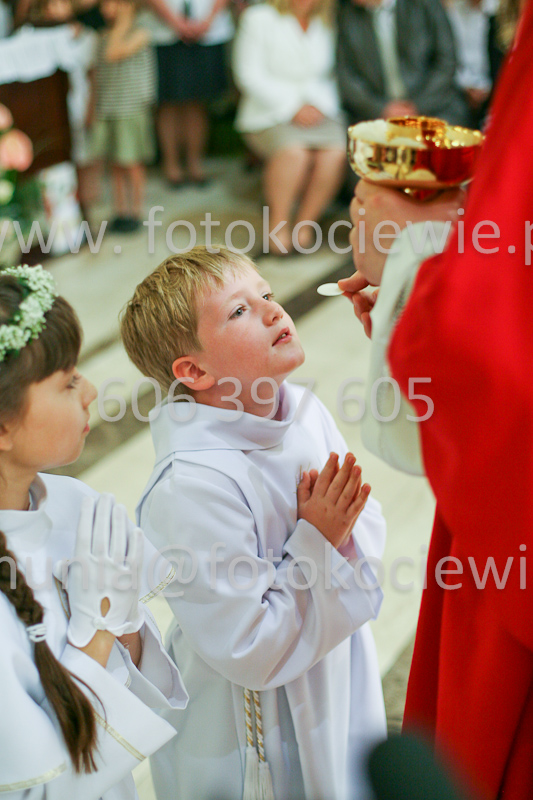 <b>NUMER FOTOGRAFII:<br> 1231_SFK_9845</b>