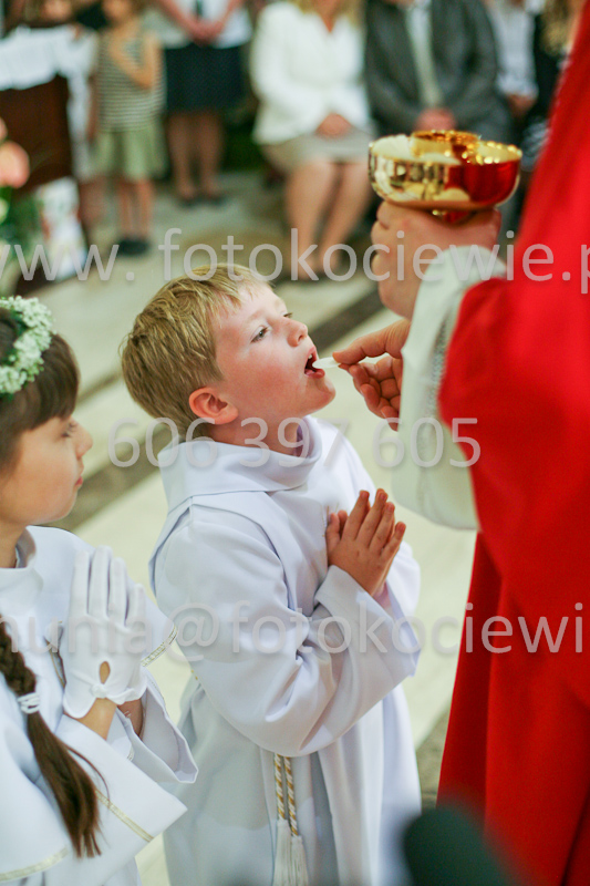 <b>NUMER FOTOGRAFII:<br> 1232_SFK_9846</b>